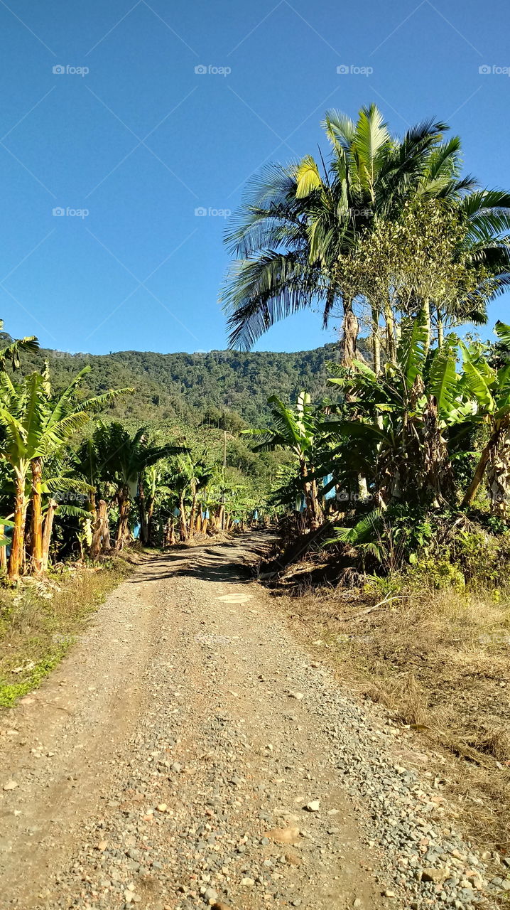 ROAD STREET ENVIRONMENT