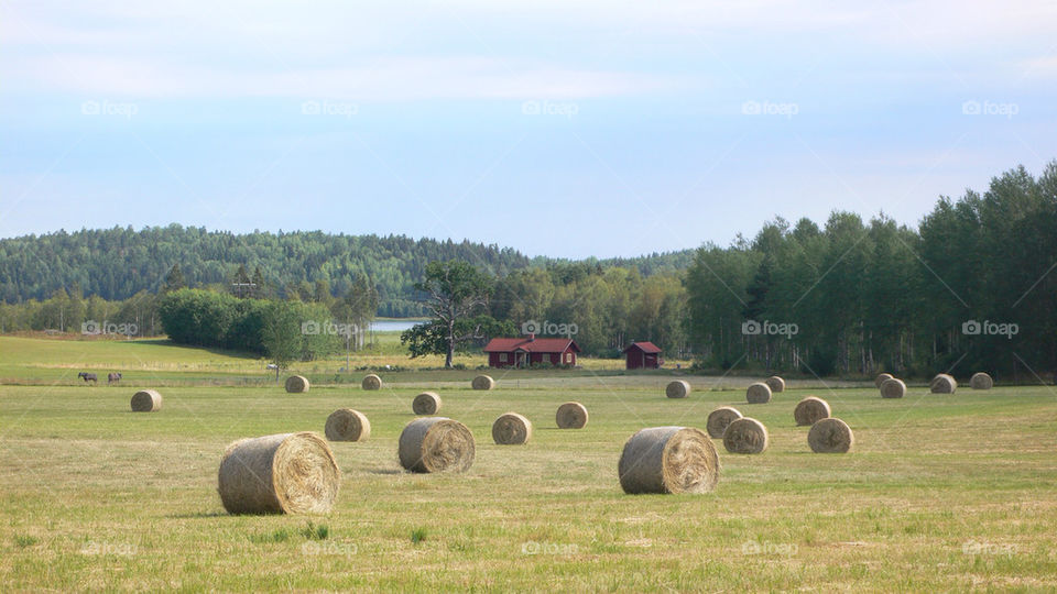 sweden summer by kallek