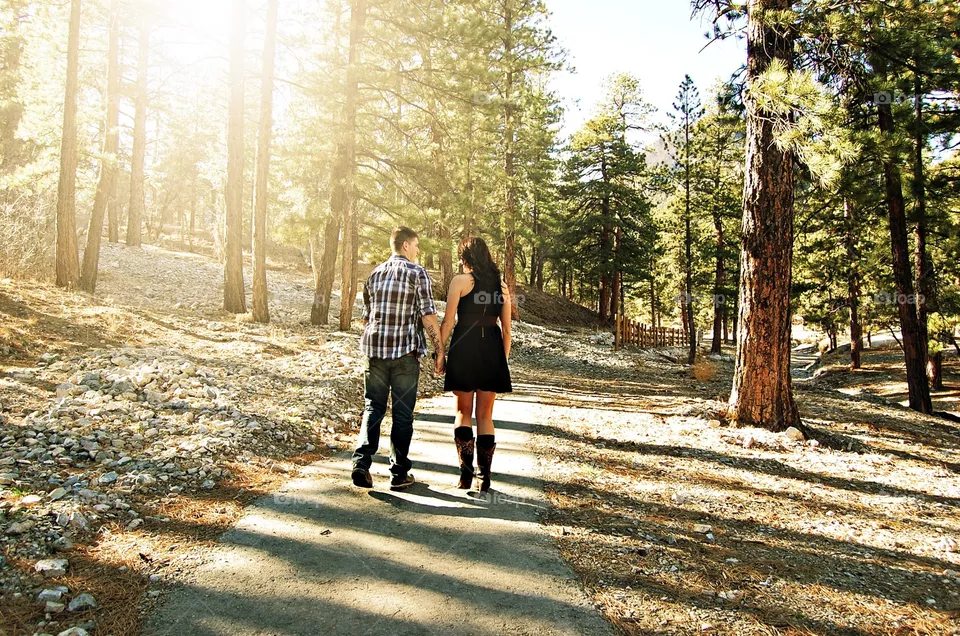 Wood, Tree, Park, Fall, Nature