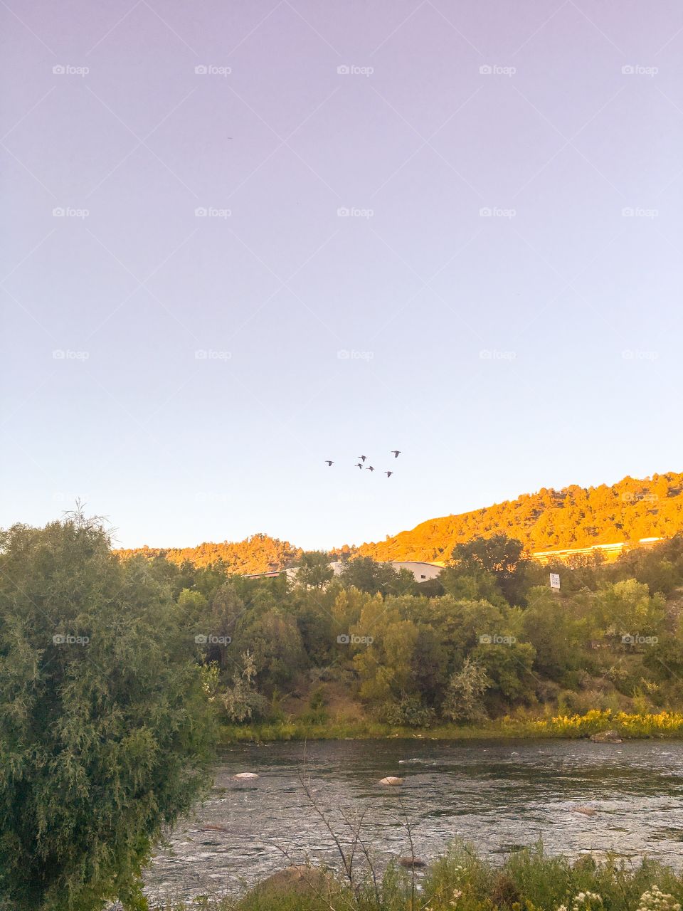 Idyllic view of river with mountain