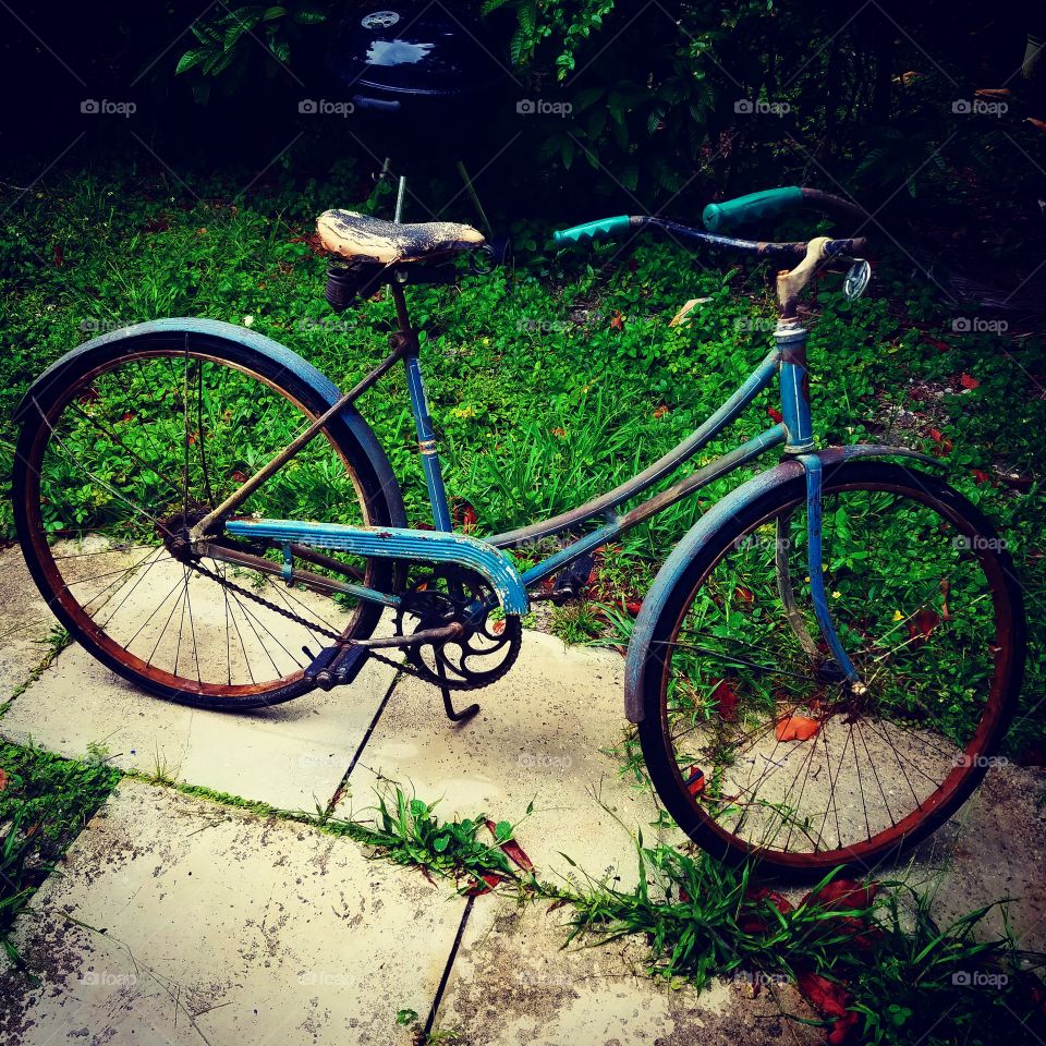 vintage antique ladies bicycle