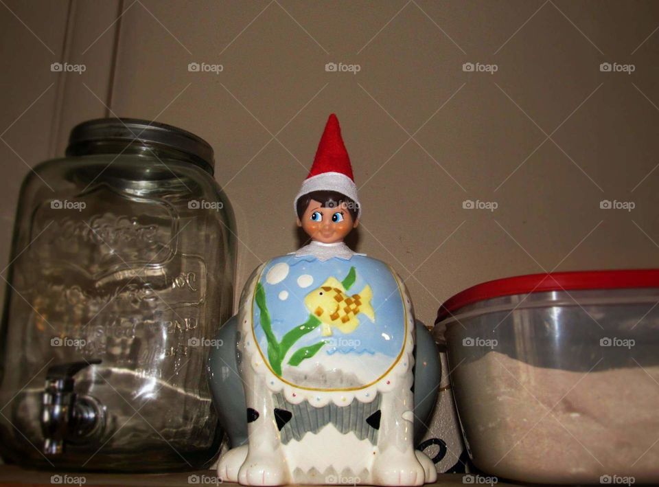 Elf on the Shelf in cookie jar