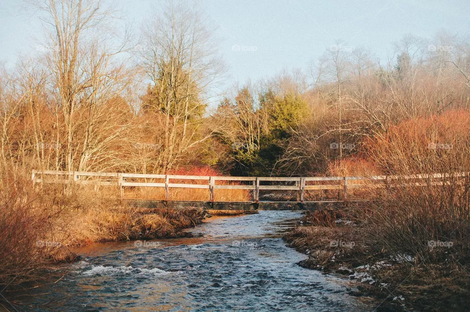 Winter, Fall, Landscape, Tree, Water