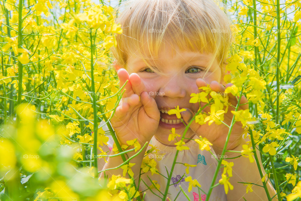 Mischievous and curious little girl of three years playing in a raps field outside the city of Malmo in Sweden