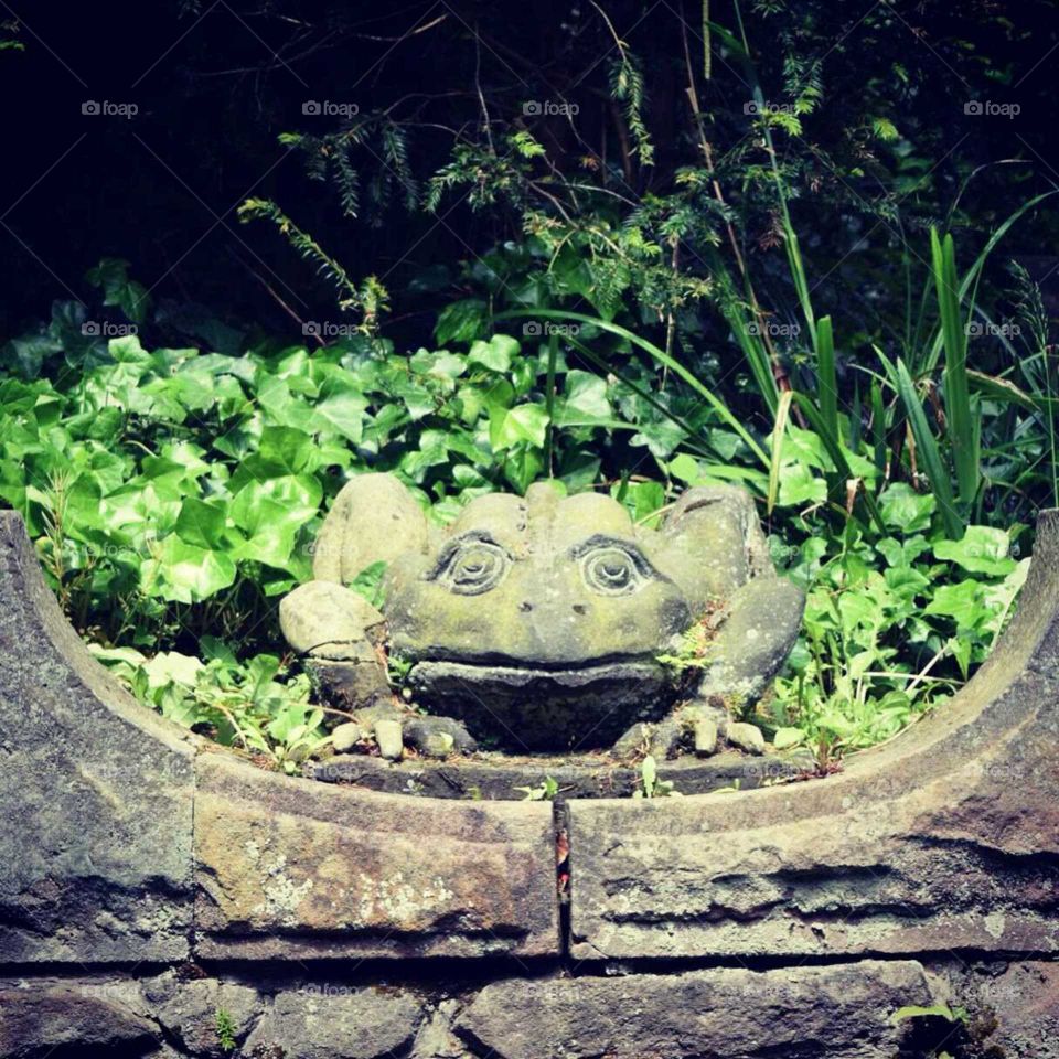 frog guardian. in the Chinese garden at buddulph grange