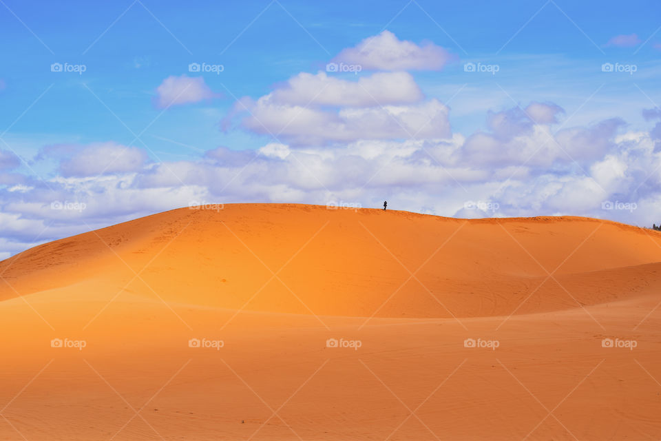 Sand Dunes