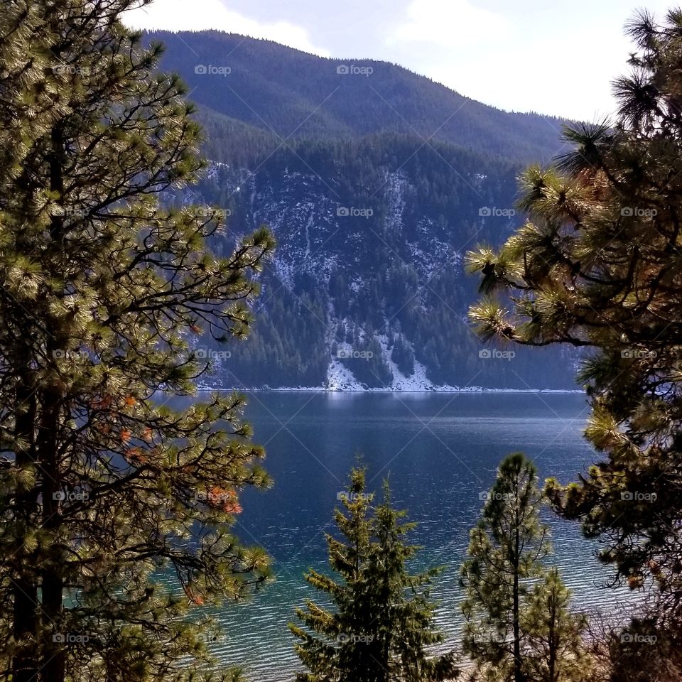 view of snowy mountainside along a lake over tops of trees