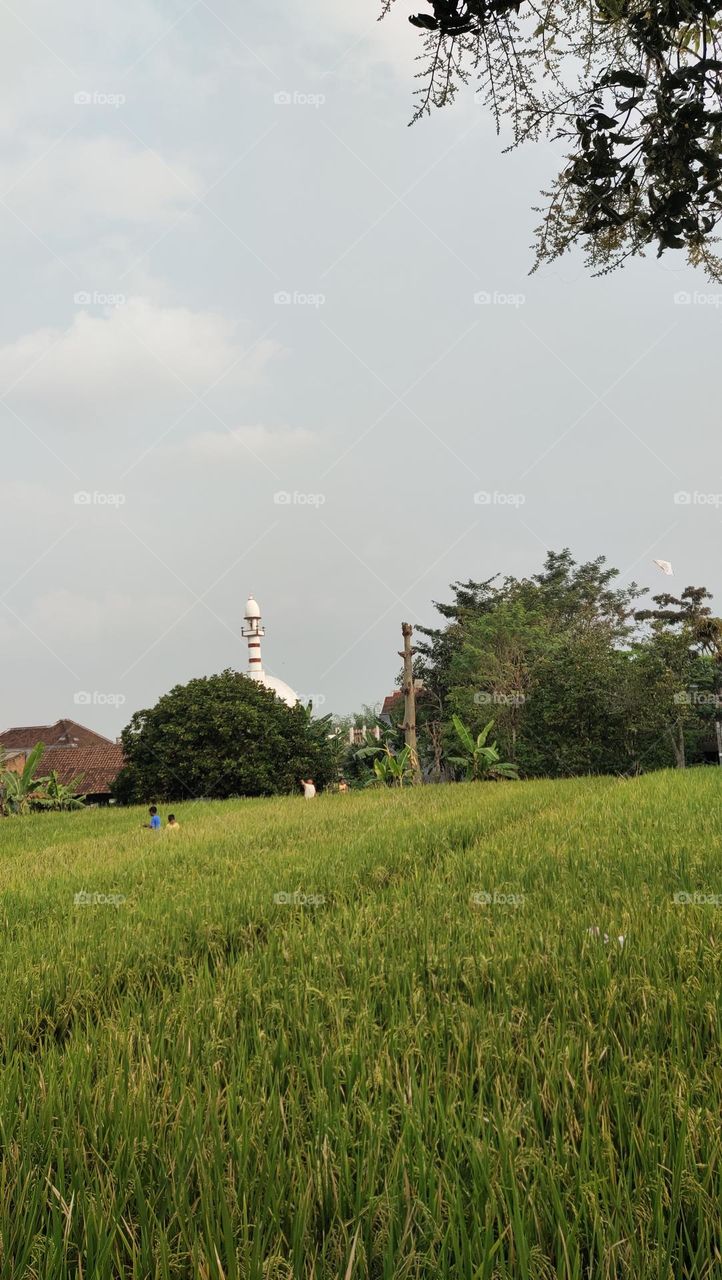 libur dan bermain layang layang