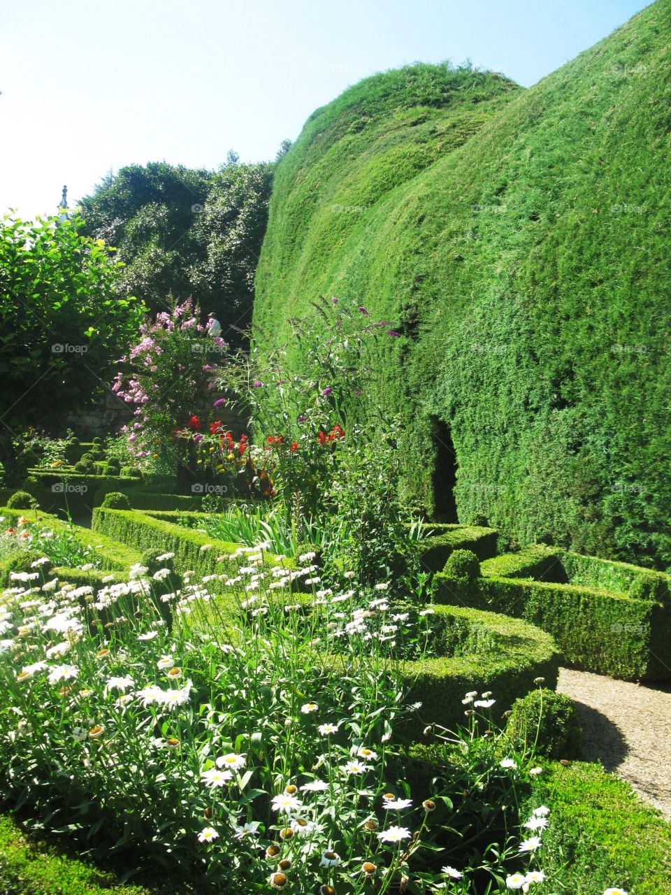 gGarden in the solar of Mateus in Vila Real in Portugal