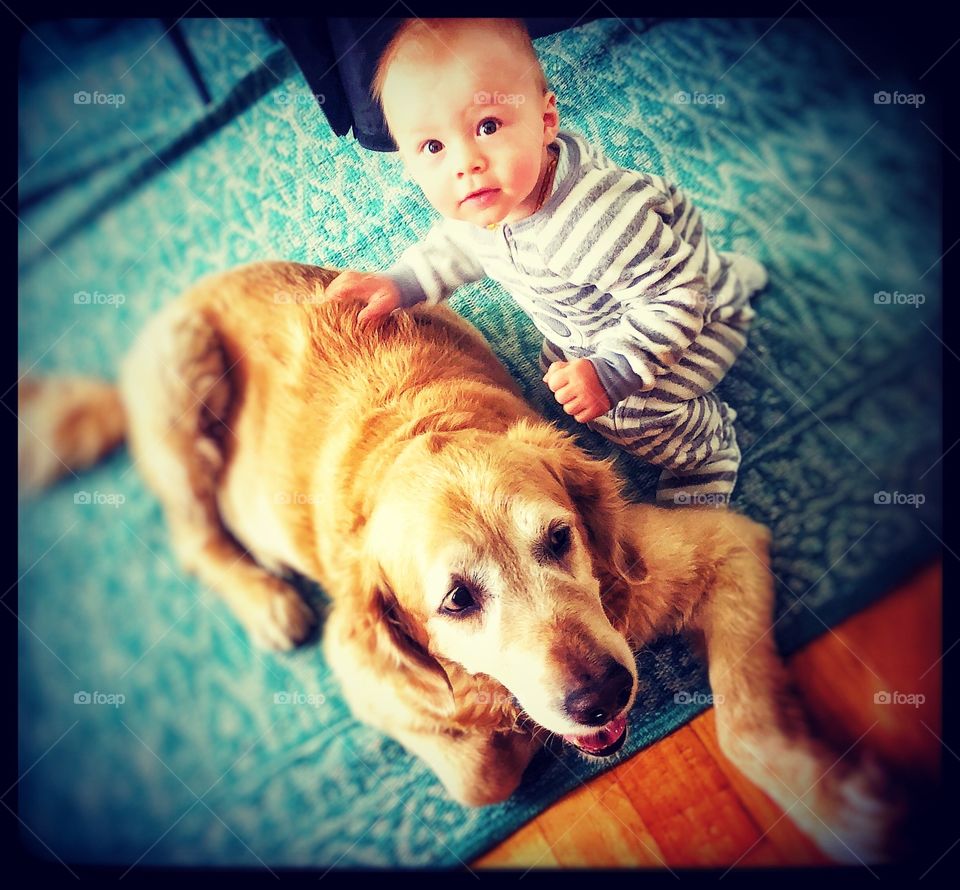 Playing with the dog 