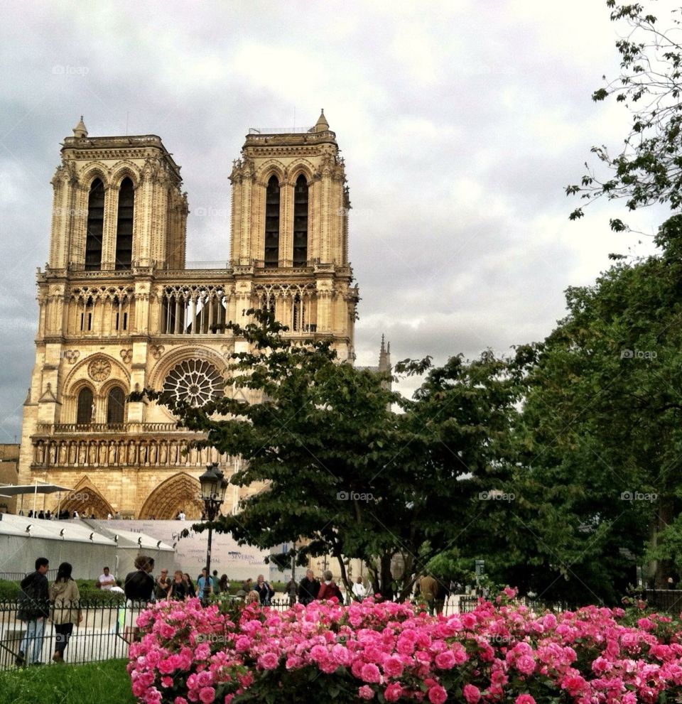 Notre Dame. This was take in Paris 