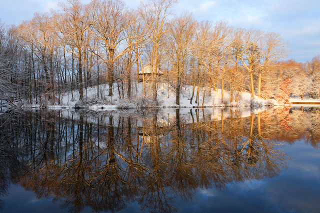Winter Wonderland after the first snow