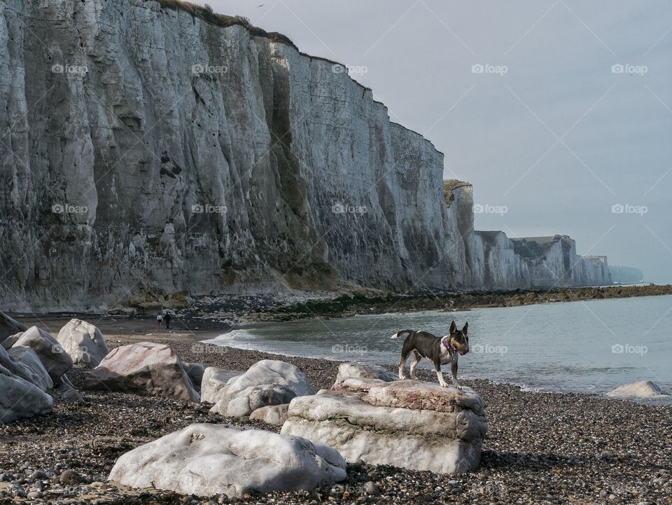 Cliff of Normandy 