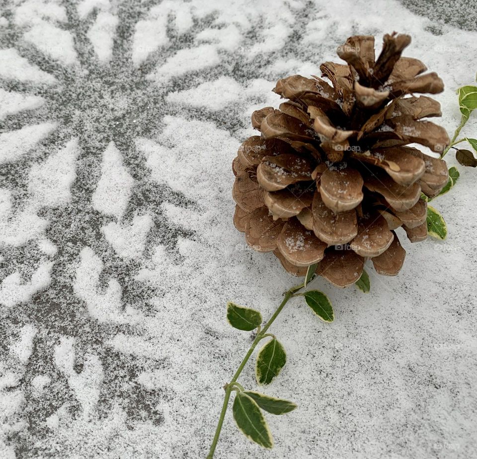 Snowflakes settle onto a patio table. A pinecone, picked off of the ground in Autumn, shares space with it during the storm. 