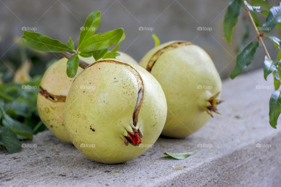 Pomegranates