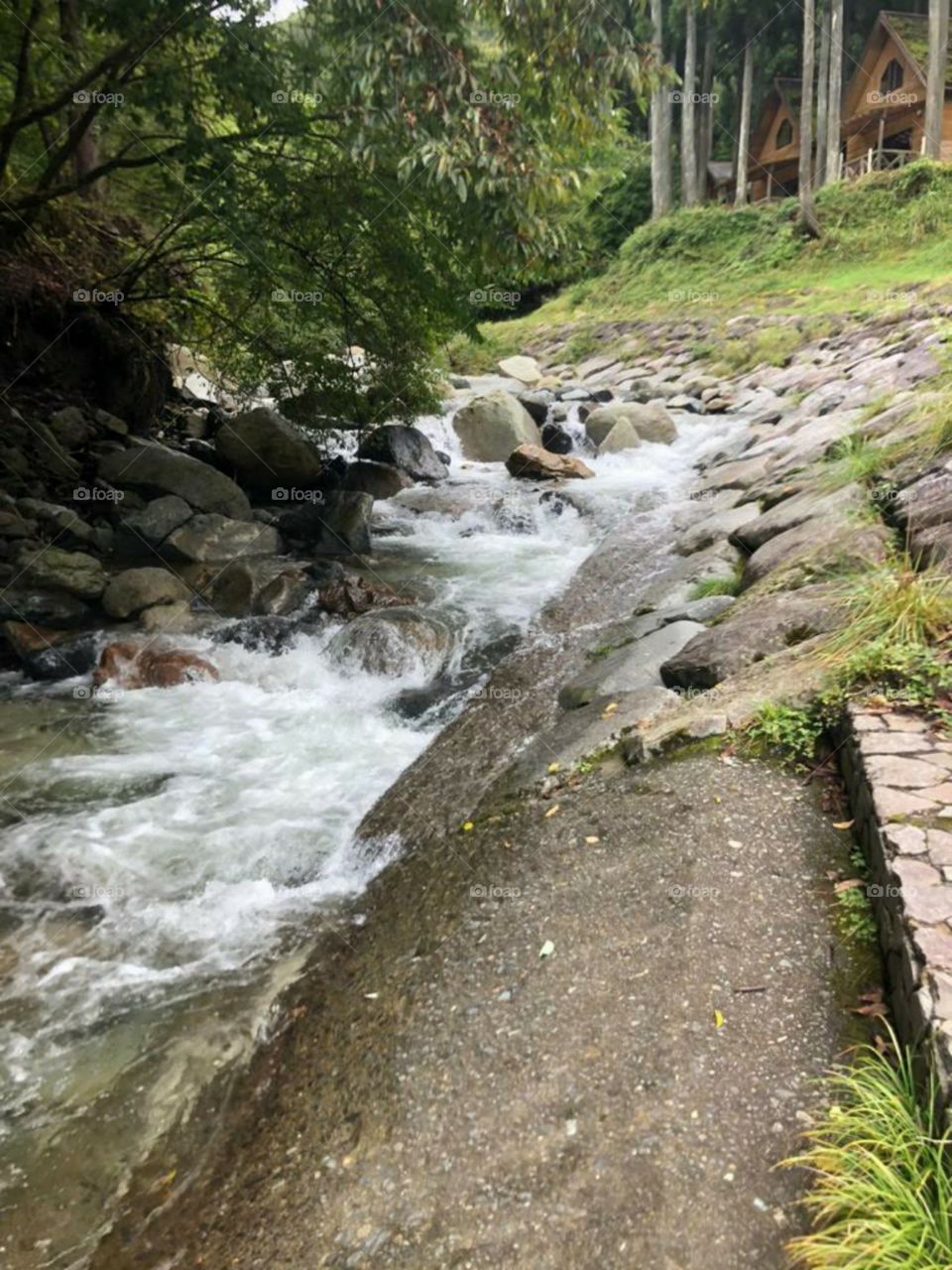 beautiful stream view