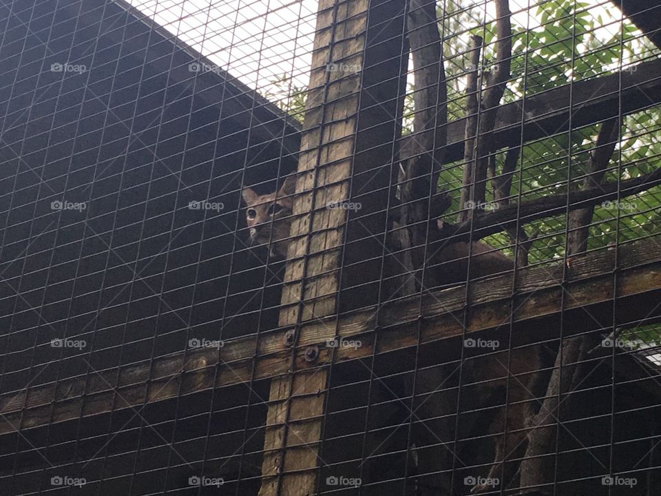 No Person, Building, Window, Architecture, Glass Items