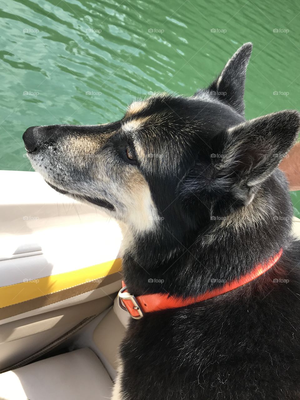 Taking a boat ride 