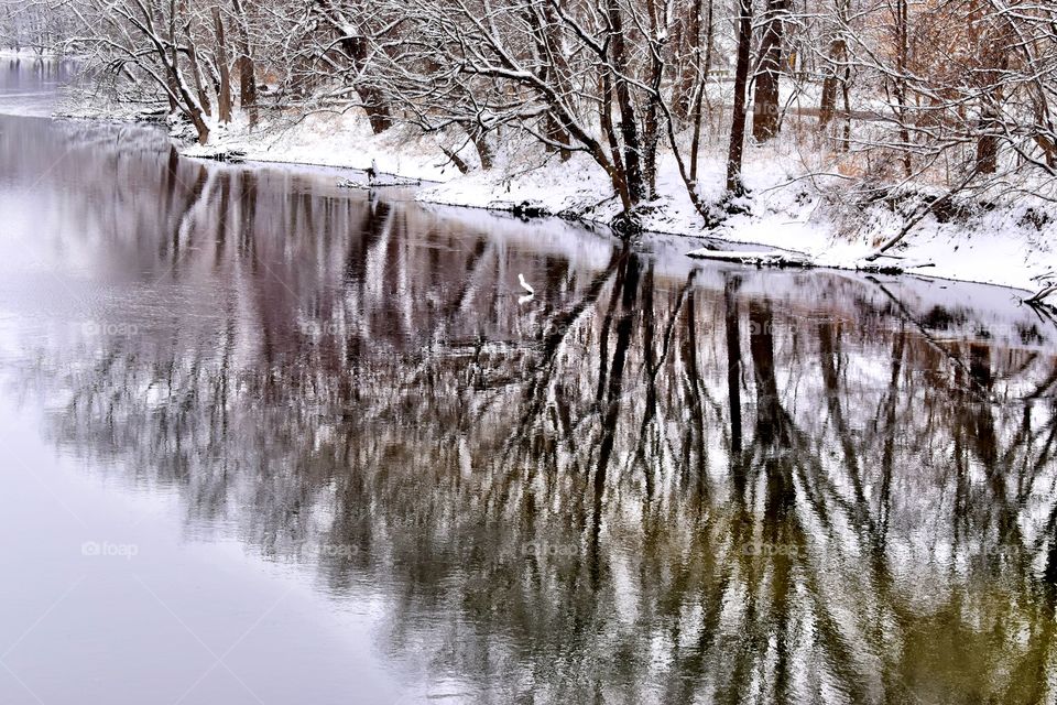 Reflection of the trees and snow on the river water on a winter day in Indiana in the park 