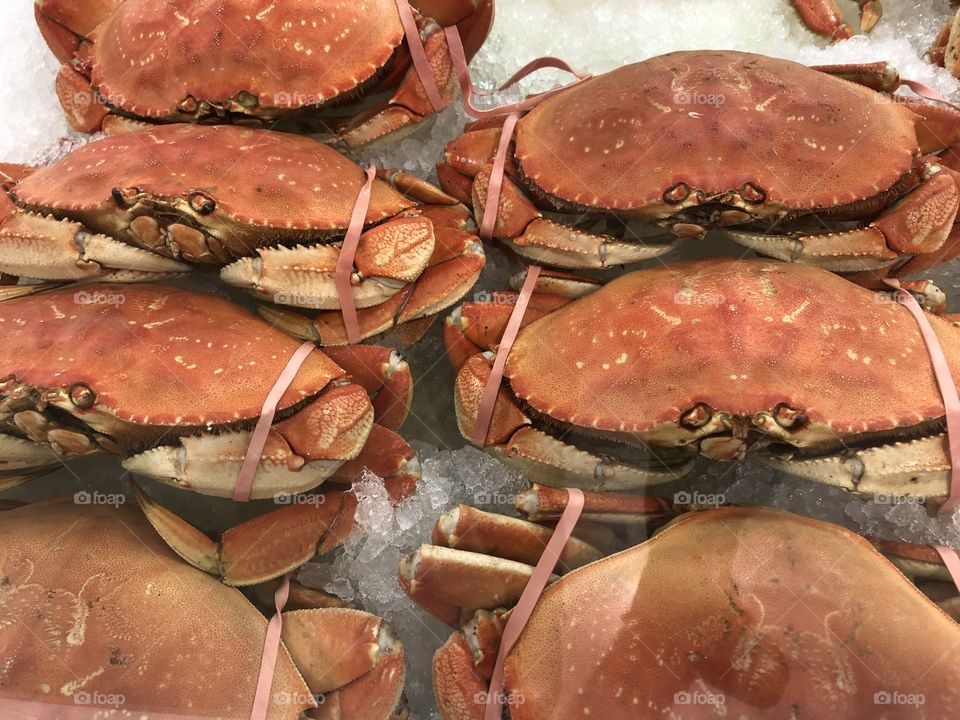 Cooked crab in frozen food display 