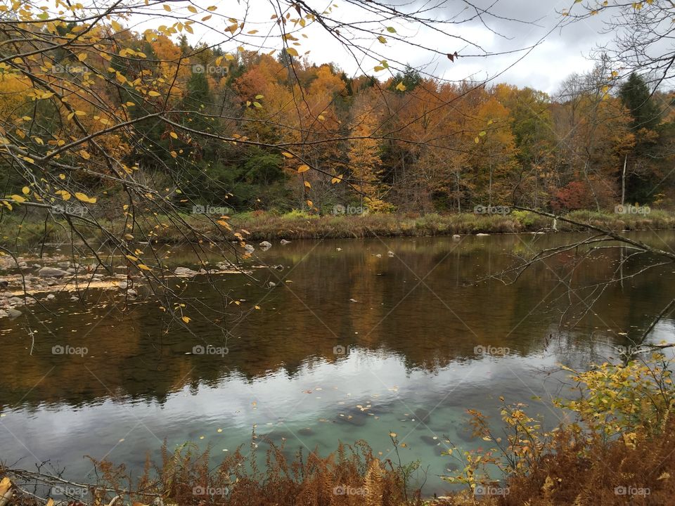 Peaceful Pennsylvania 