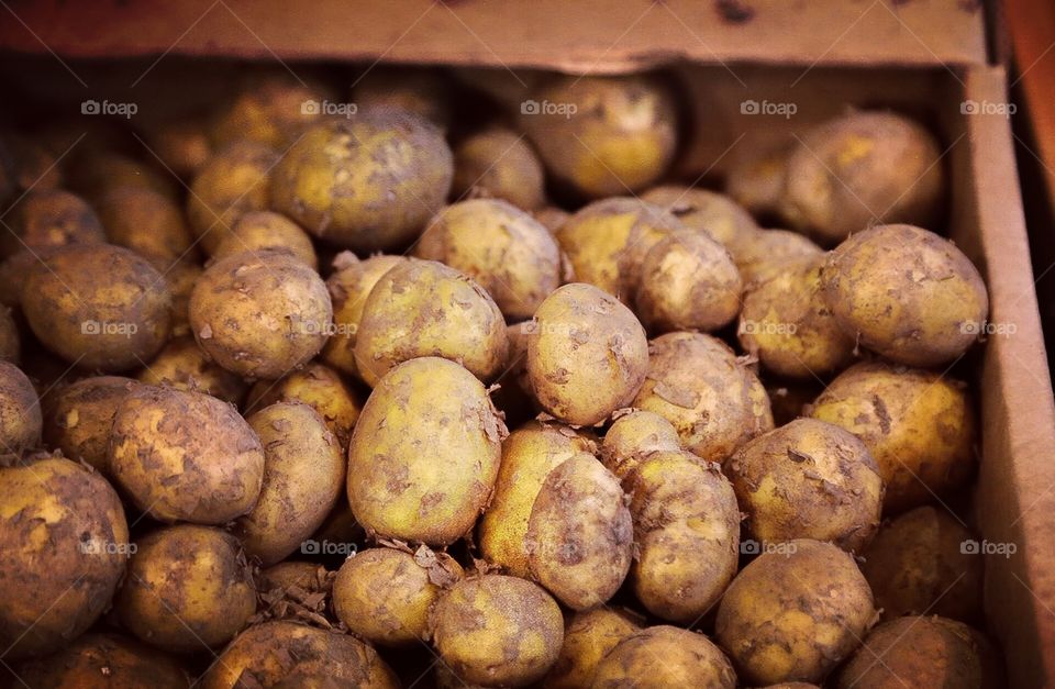 Potatoes. Raw food