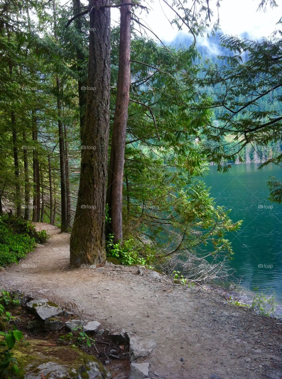 Lakeside Trail at Buntzen Lake