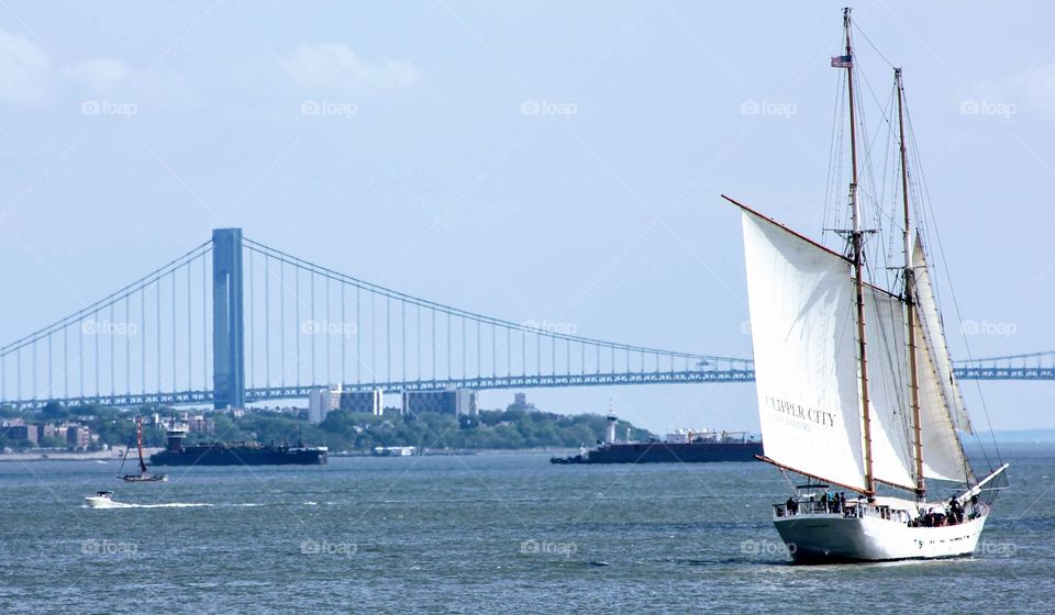 All oceans can be crossed by bridges and boat 