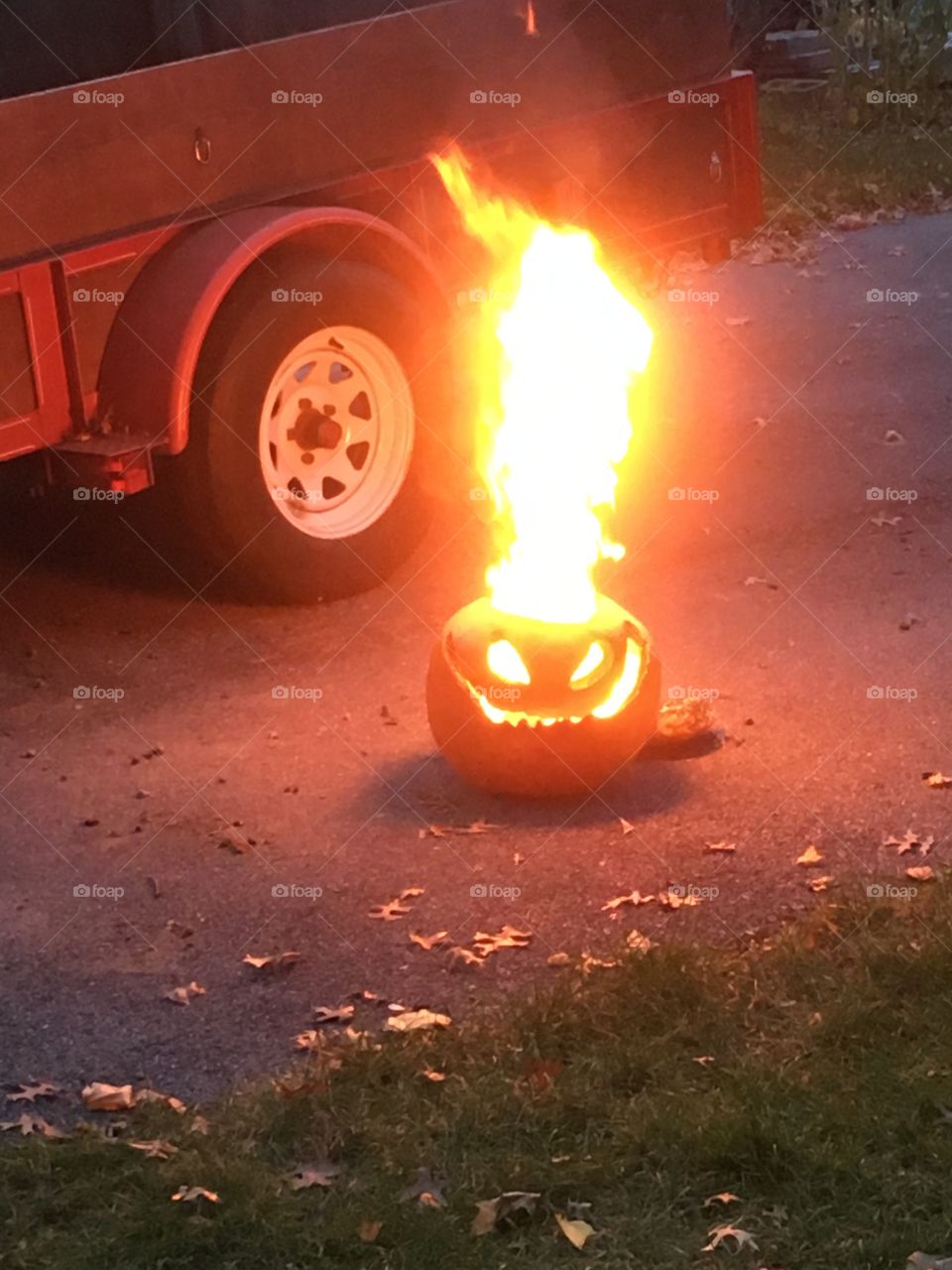 Fiery pumpkin 