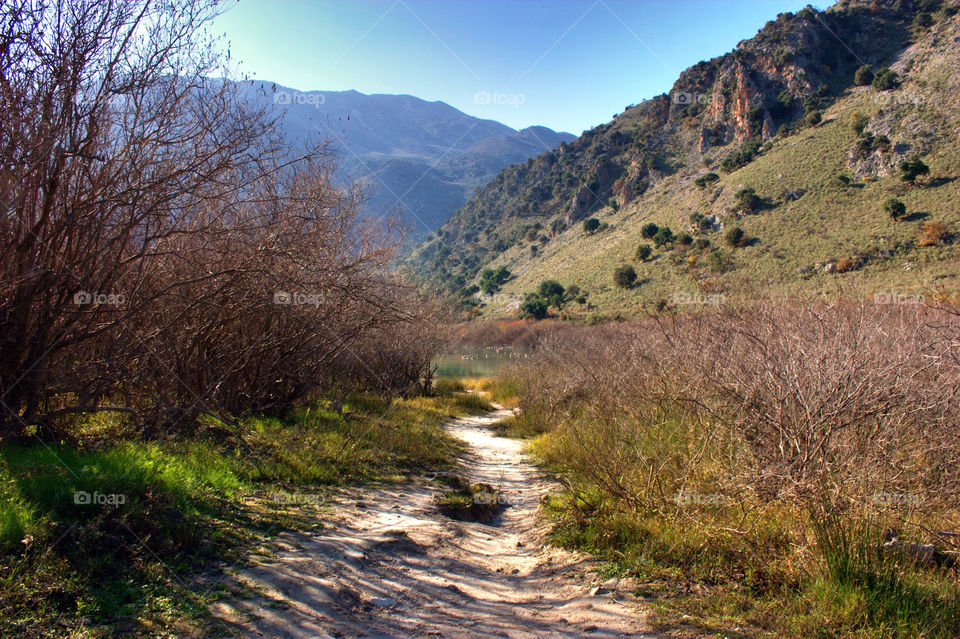 landscape nature summer path by vienesse