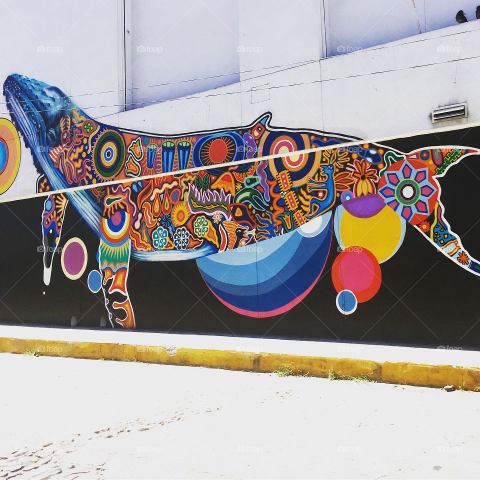 Whale mural in Mexico.
