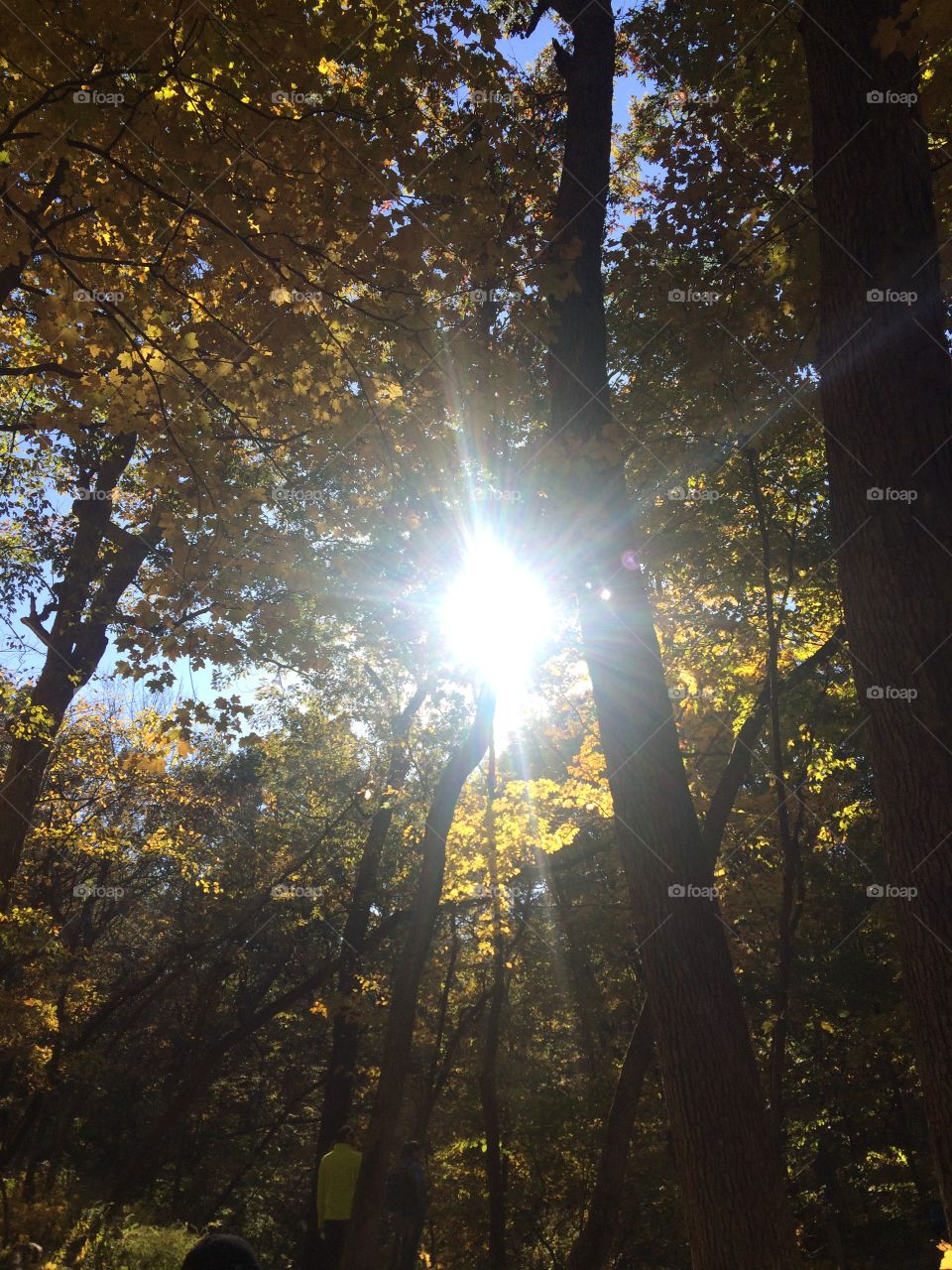 It was a beautiful autumn day at Starved Rock Park, IL.   