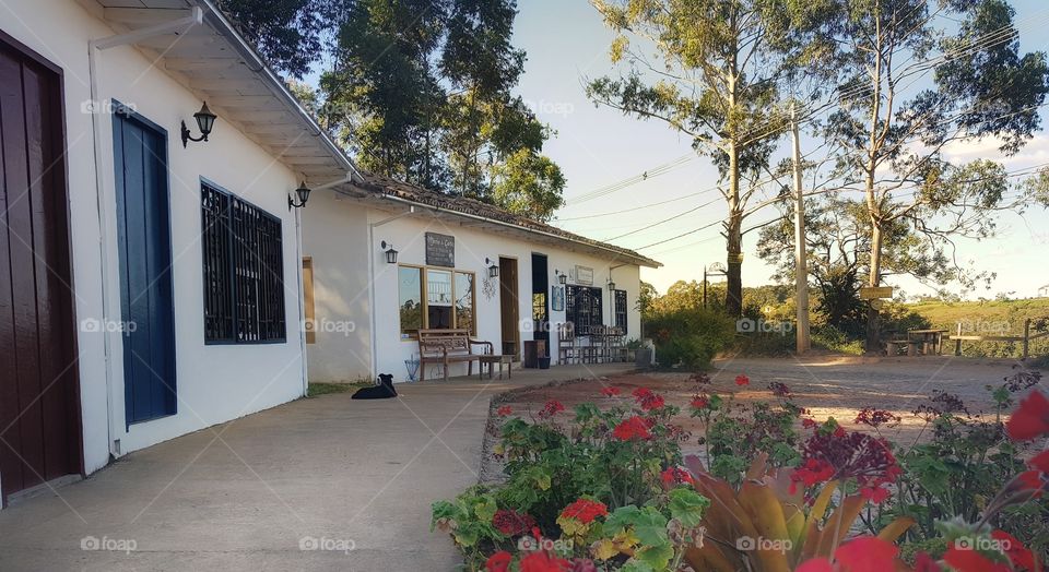 Bichinho - Tiradentes - Minas Gerais - Brasil