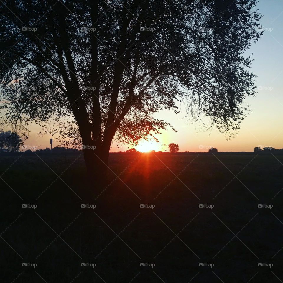 Красивый пейзаж заката 