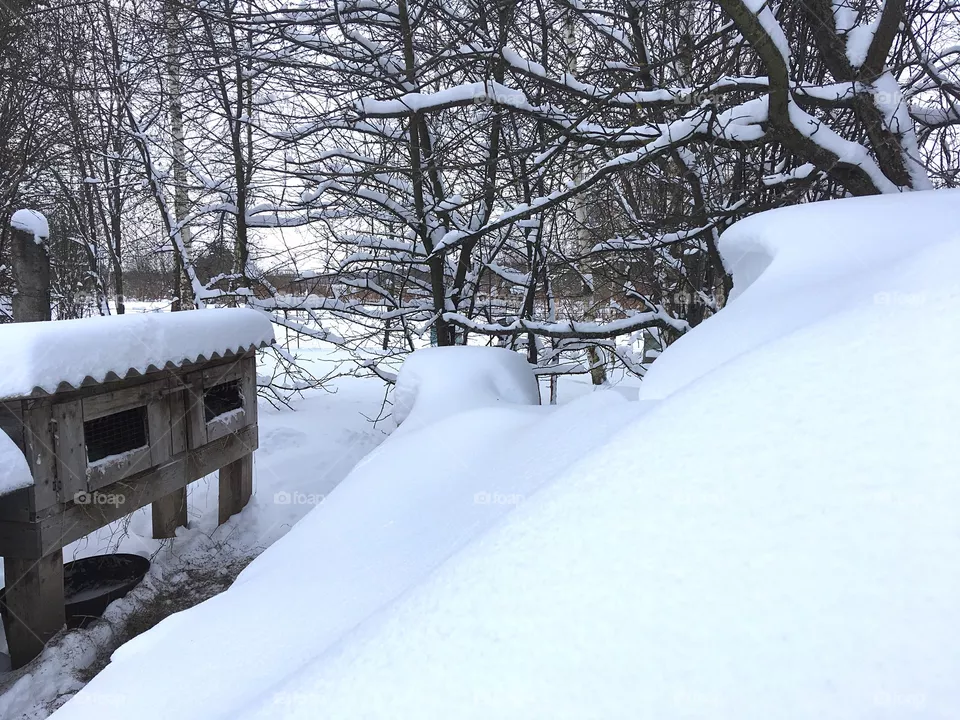 Snow 