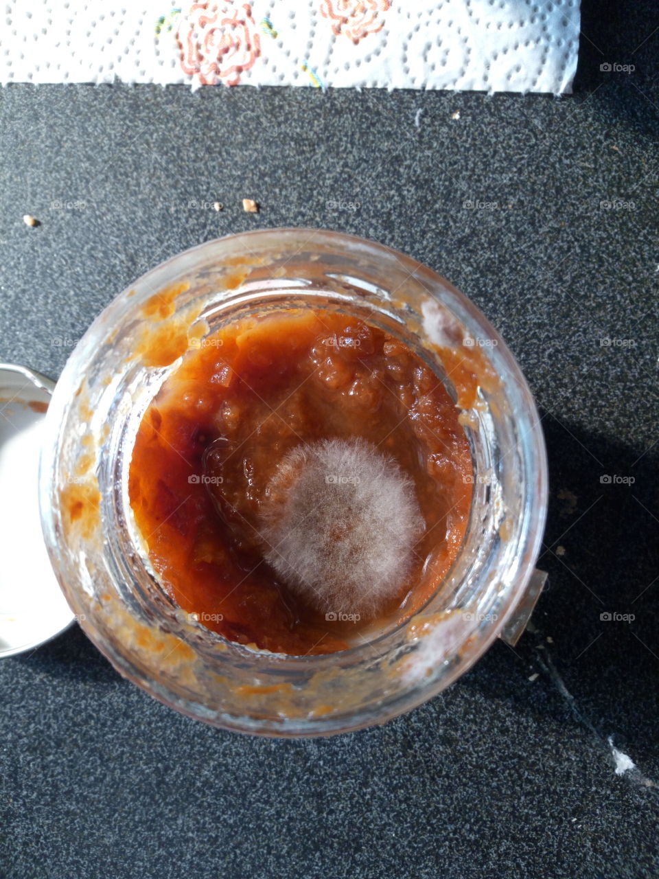 marmalade with mold