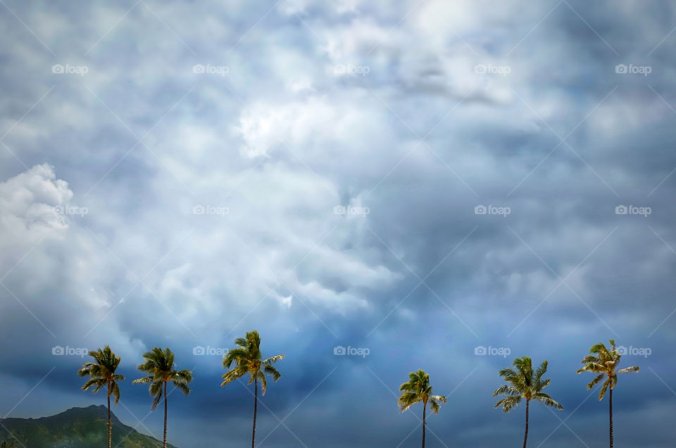 Diamond Head and six coconut palm trees under gathering storm clouds 