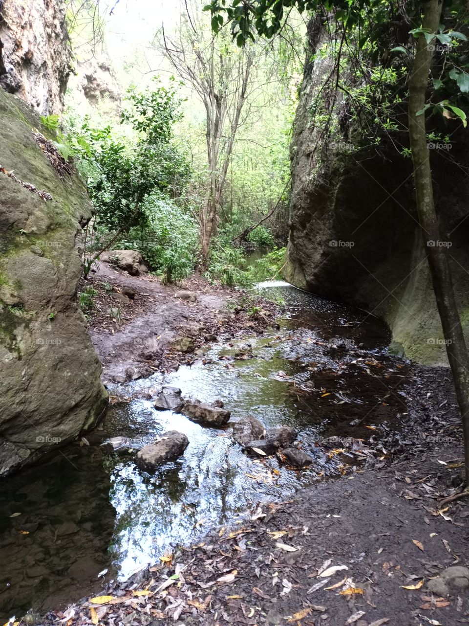 barranco Azuaje gran canaria