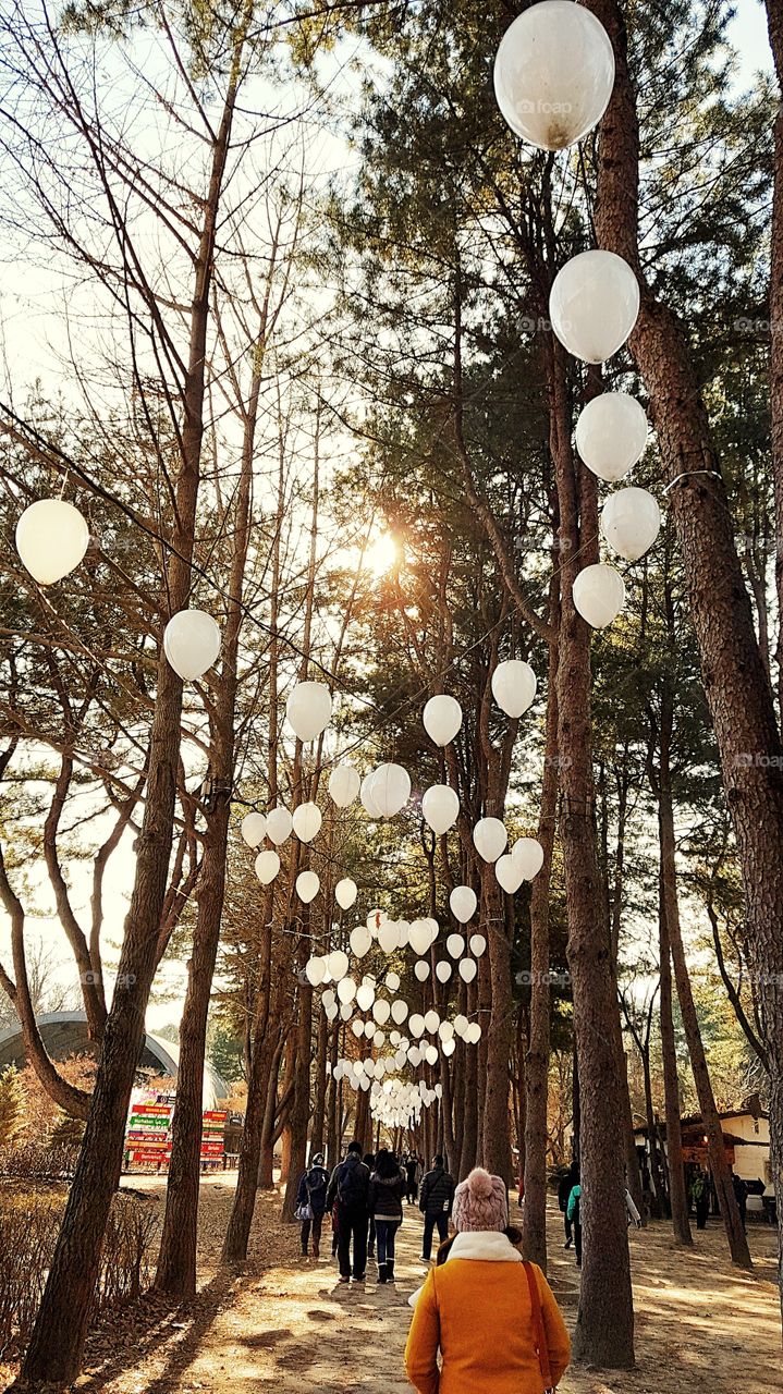 Balloons in Nami Island, South Korea