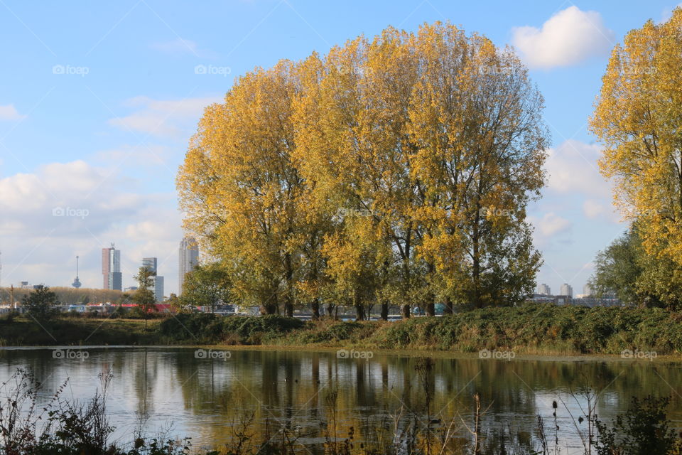 Skyline Rotterdam in autumn