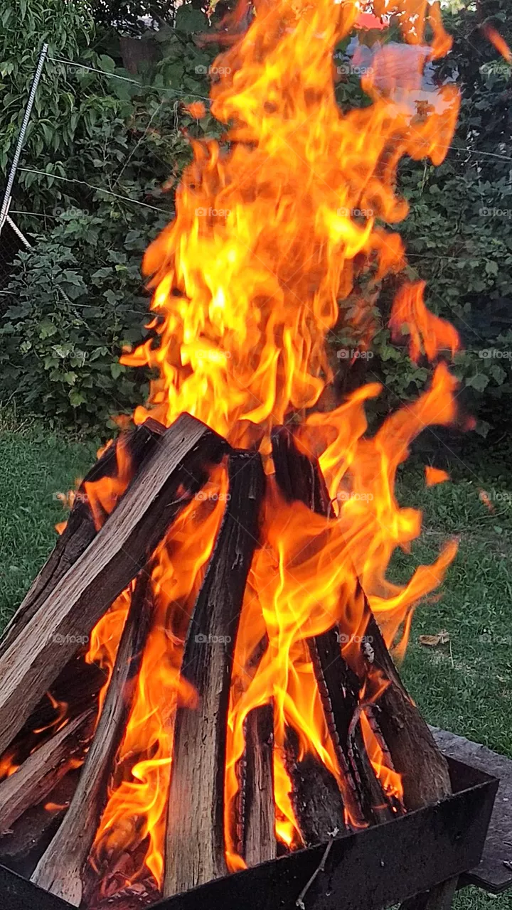 Fire
