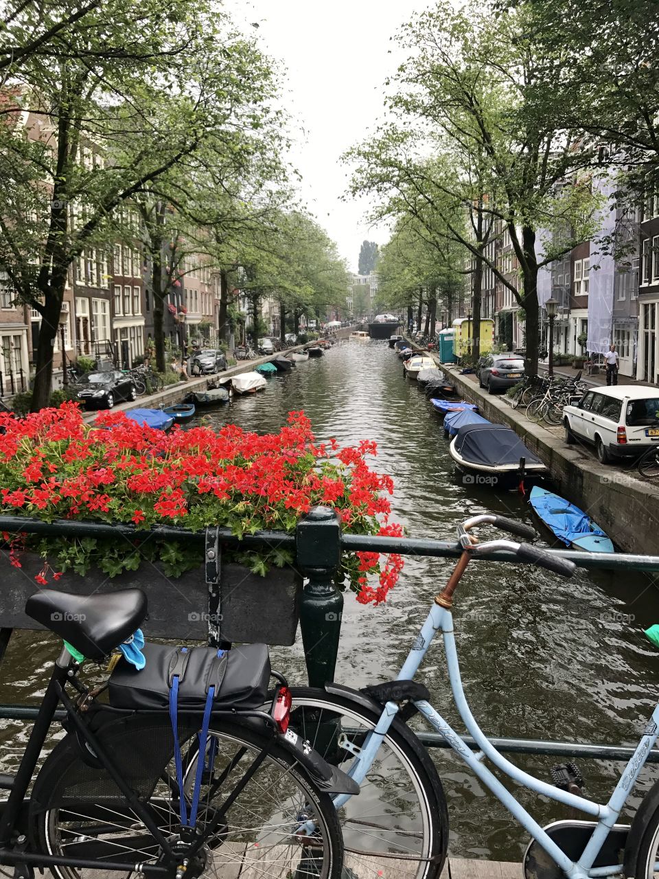 Biking the canals in Amsterdam 