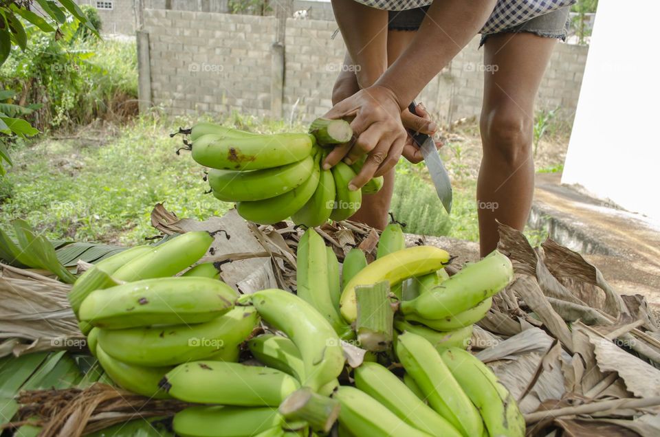 Cutting Bananas