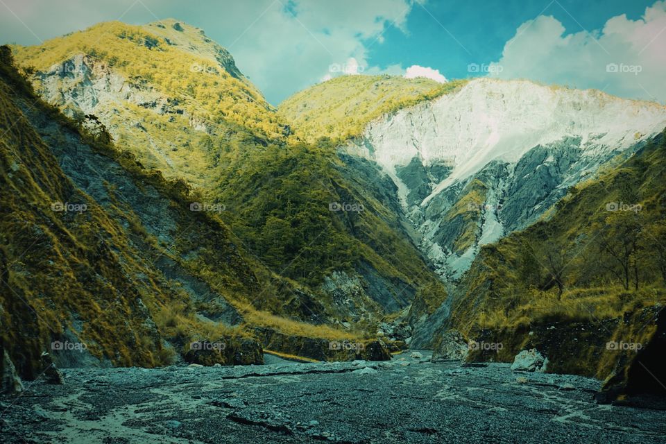 fall down #many tree are losing the  reason is  river