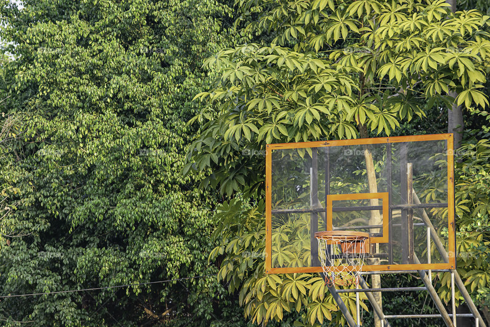 Basketball hoop background  tree and That reflects sunlight in the morning.