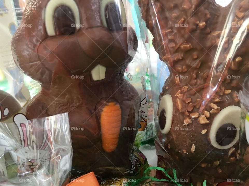 chocolate rabbit