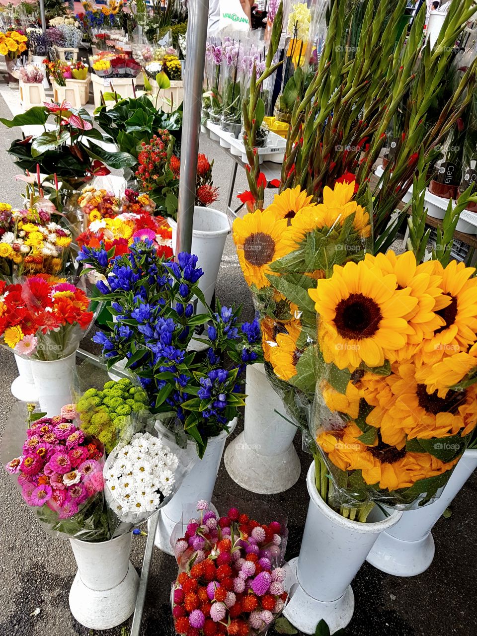 Multicolored flowers for sale at the street market in Italy