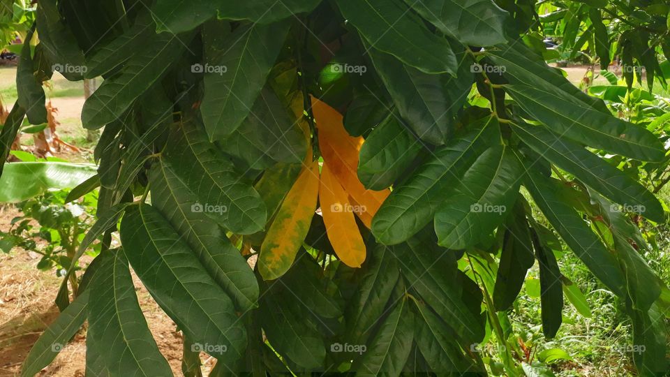 old and young different .