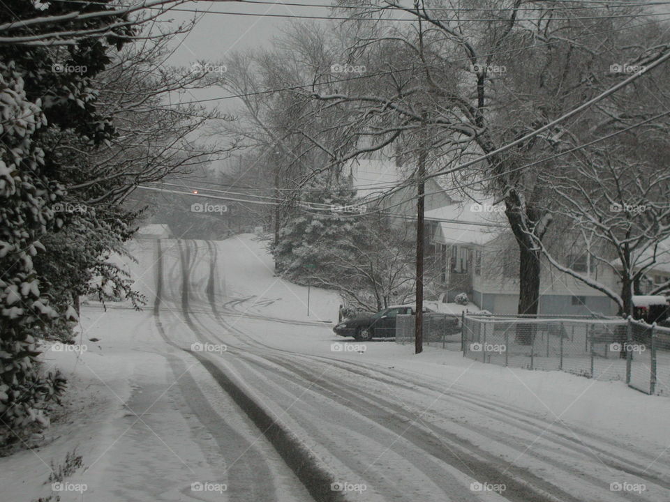 "Snowy Lane"