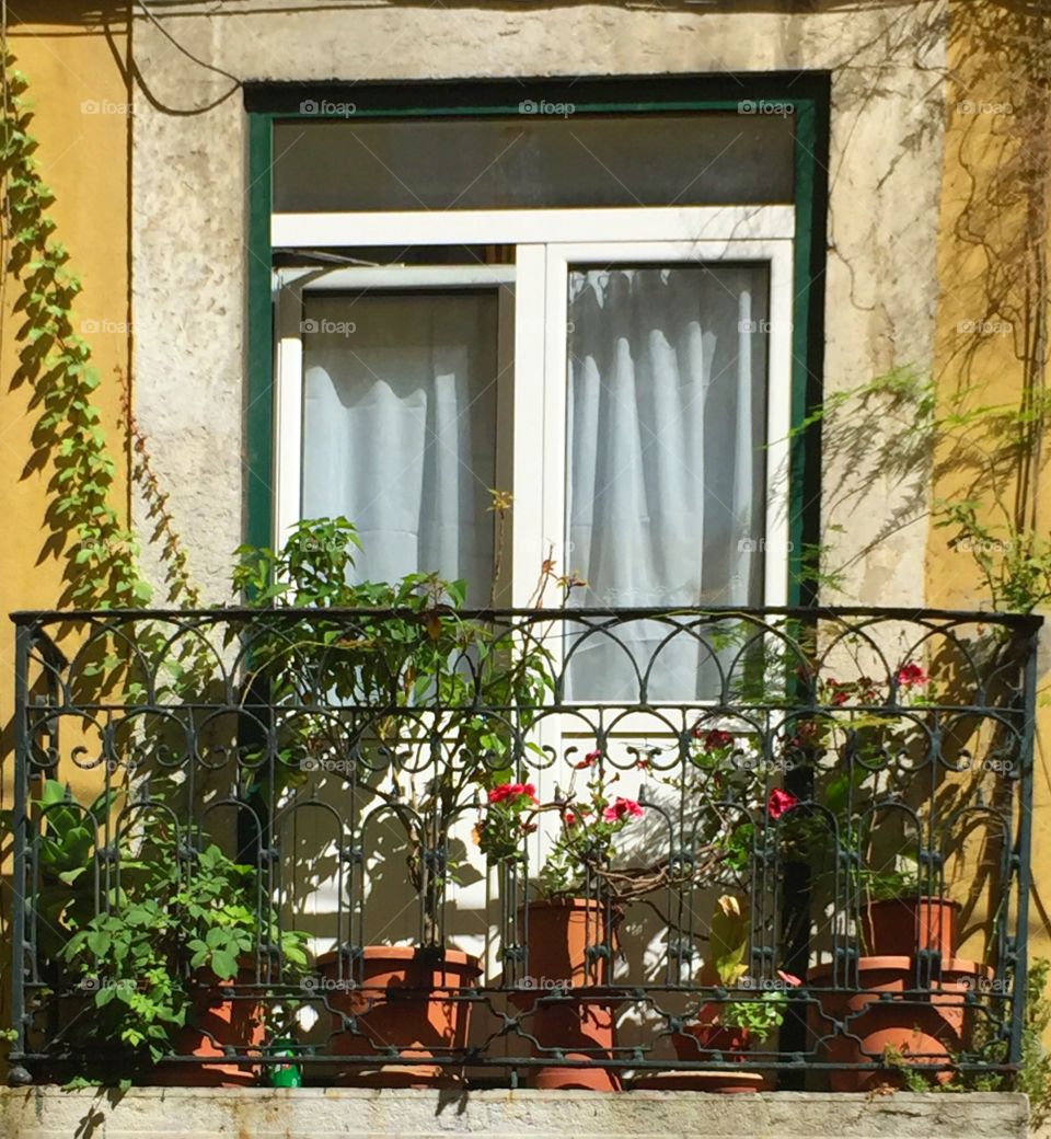 Beautiful balconies 